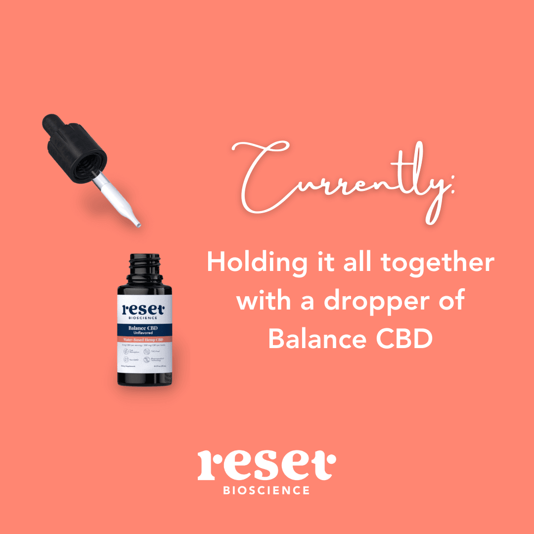 Reset 23: Infographics