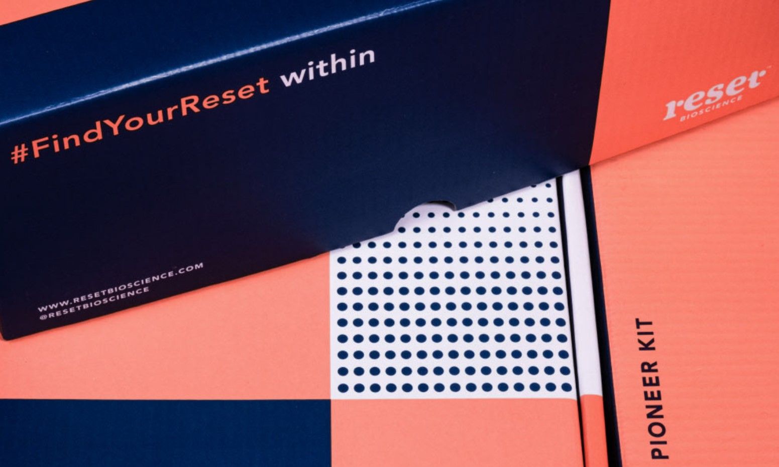 Reset 2: Backdrops