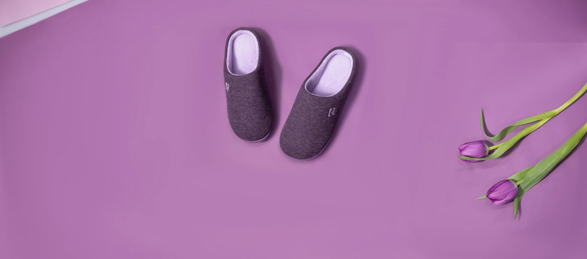 RockDove 1: Backdrops