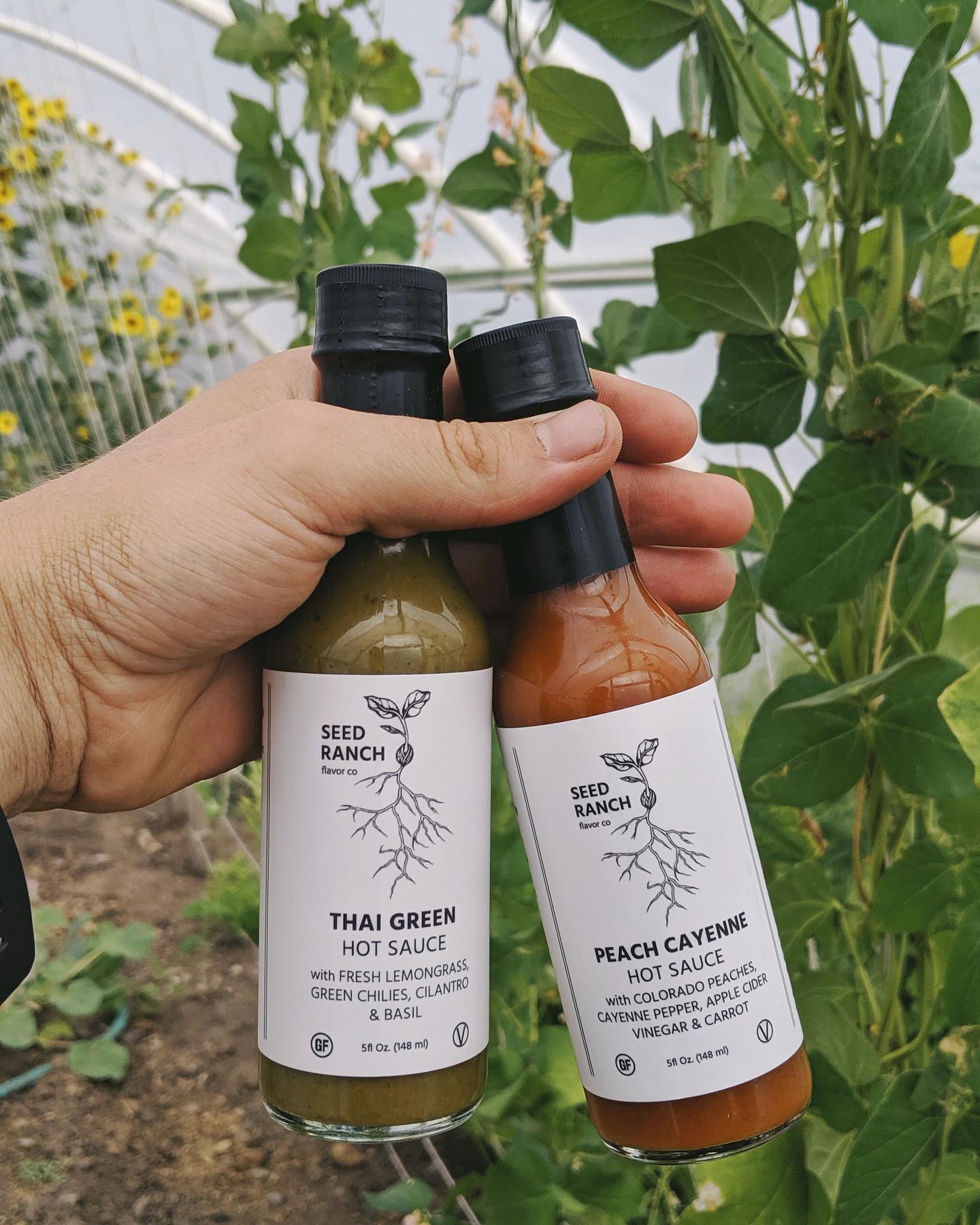 SEED RANCH FLAVOR CO 02: Lifestyle Secondary Images