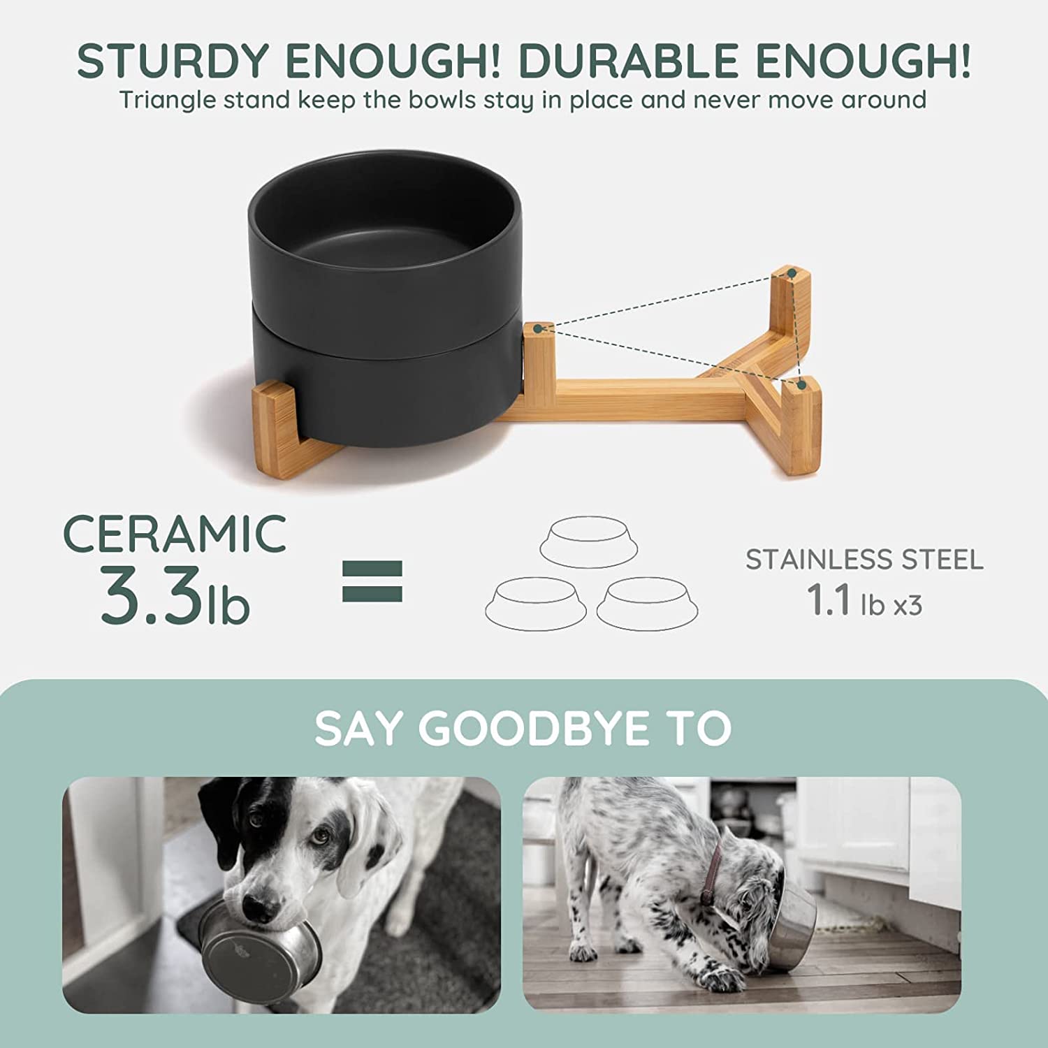 SPUNKYJUNKY INF PET 2: Infographics