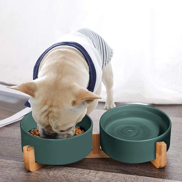 SPUNKYJUNKY LIF PET 2: Lifestyle Secondary Images