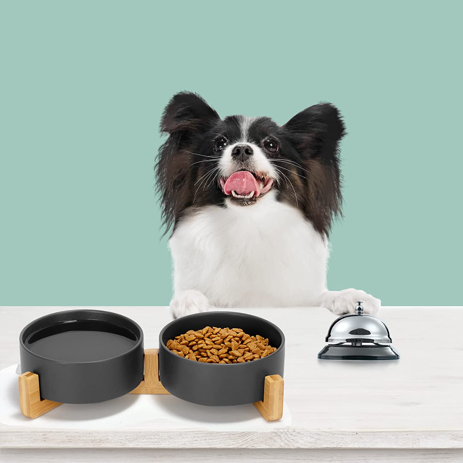 SPUNKYJUNKY LIF PET 4: Lifestyle Secondary Images