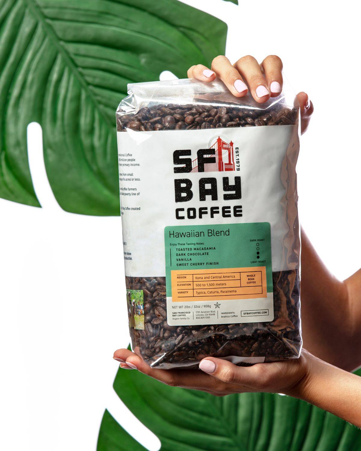 San Francisco Bay Coffee 11: Lifestyle Secondary Images
