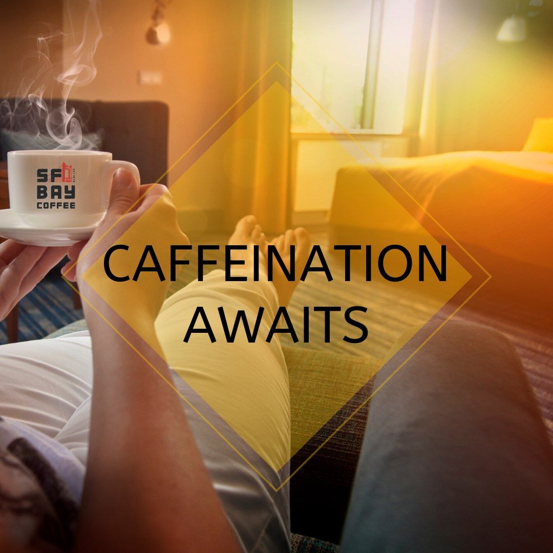San Francisco Bay Coffee 36: Infographics
