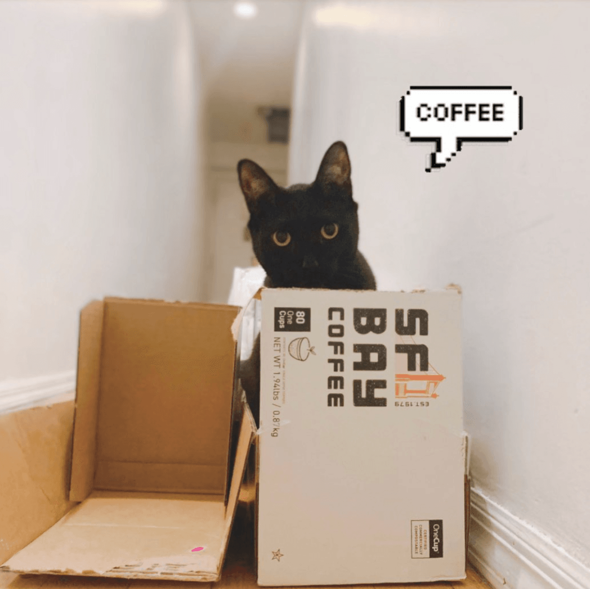 San Francisco Bay Coffee 47: Infographics