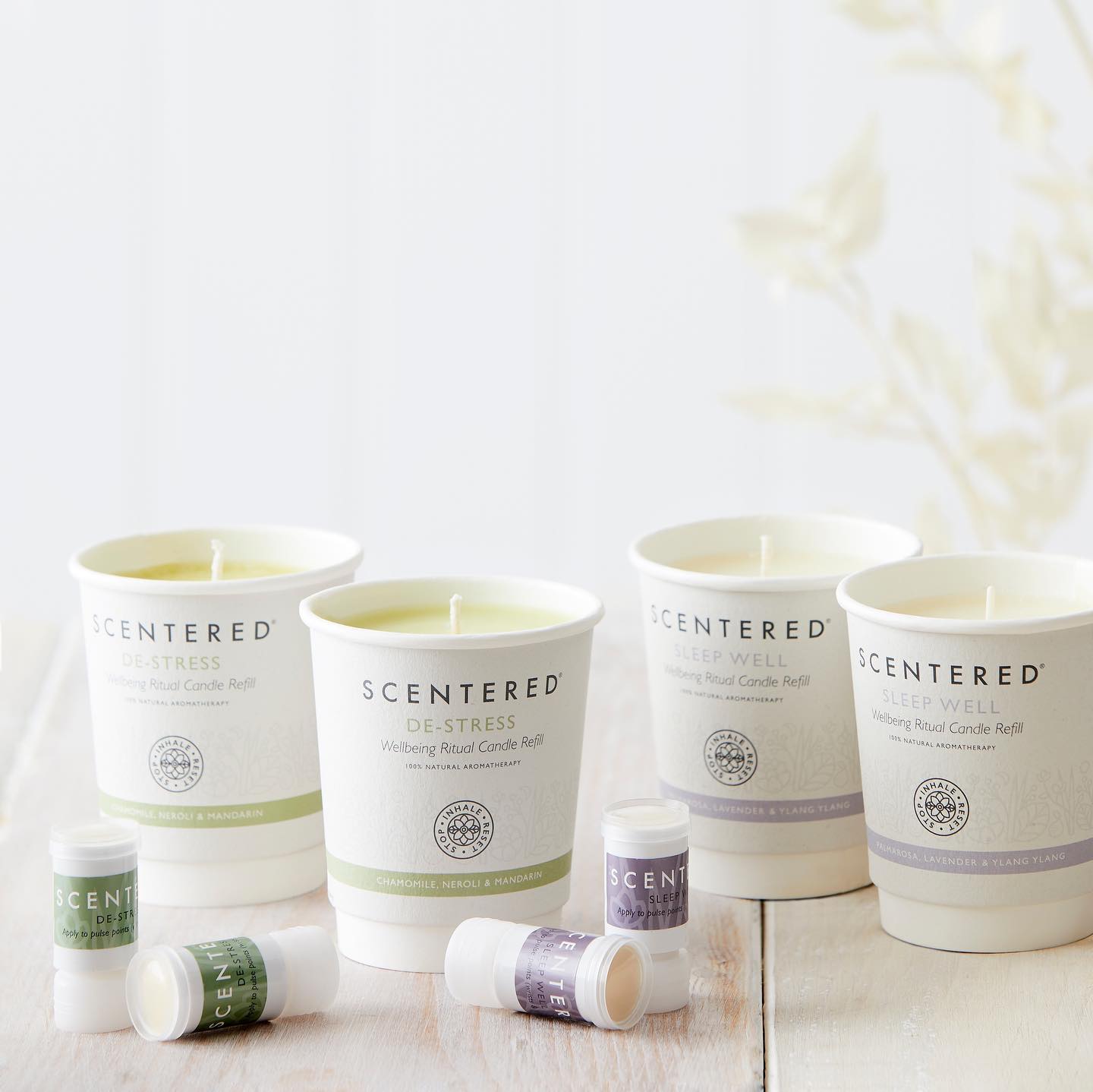 Scentered 23: Lifestyle Secondary Images