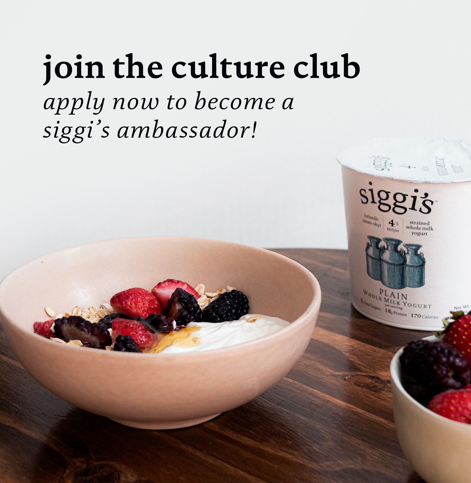 Siggi's 08: Infographics