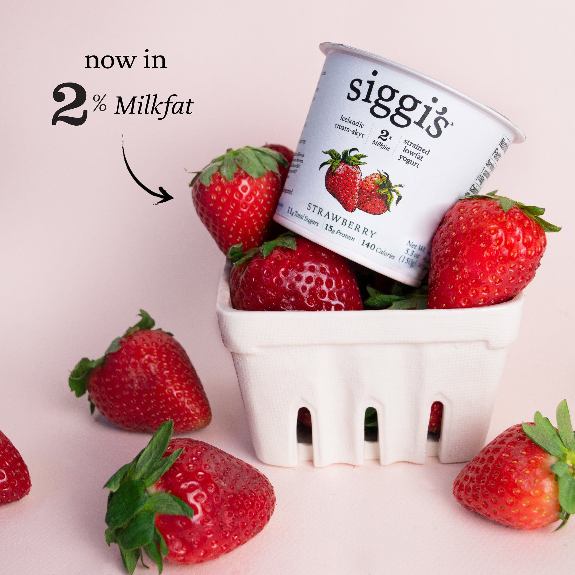 Siggi's 23: Infographics
