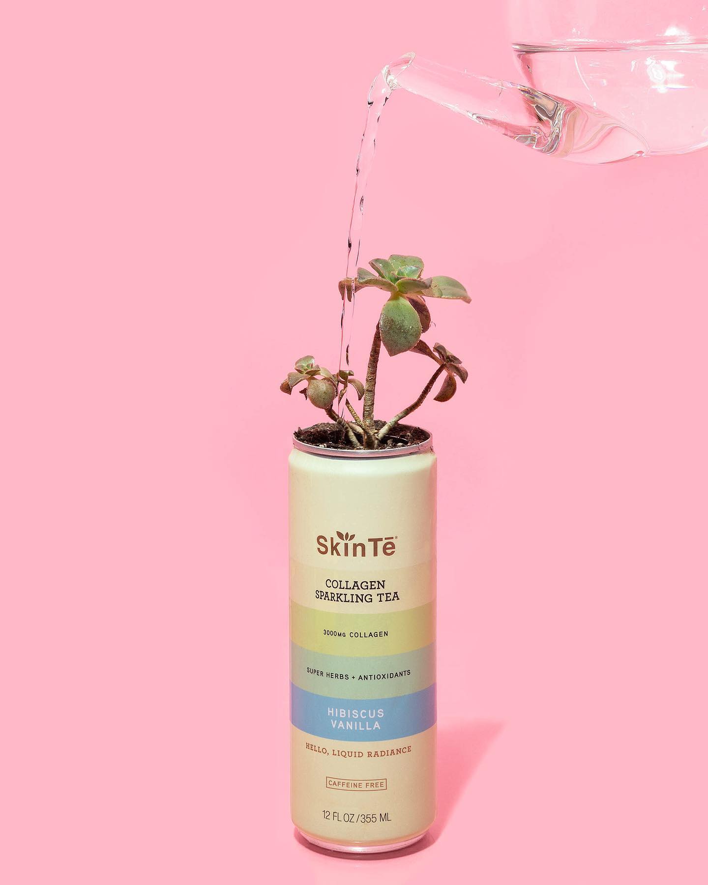 SkinTē 51: Backdrops