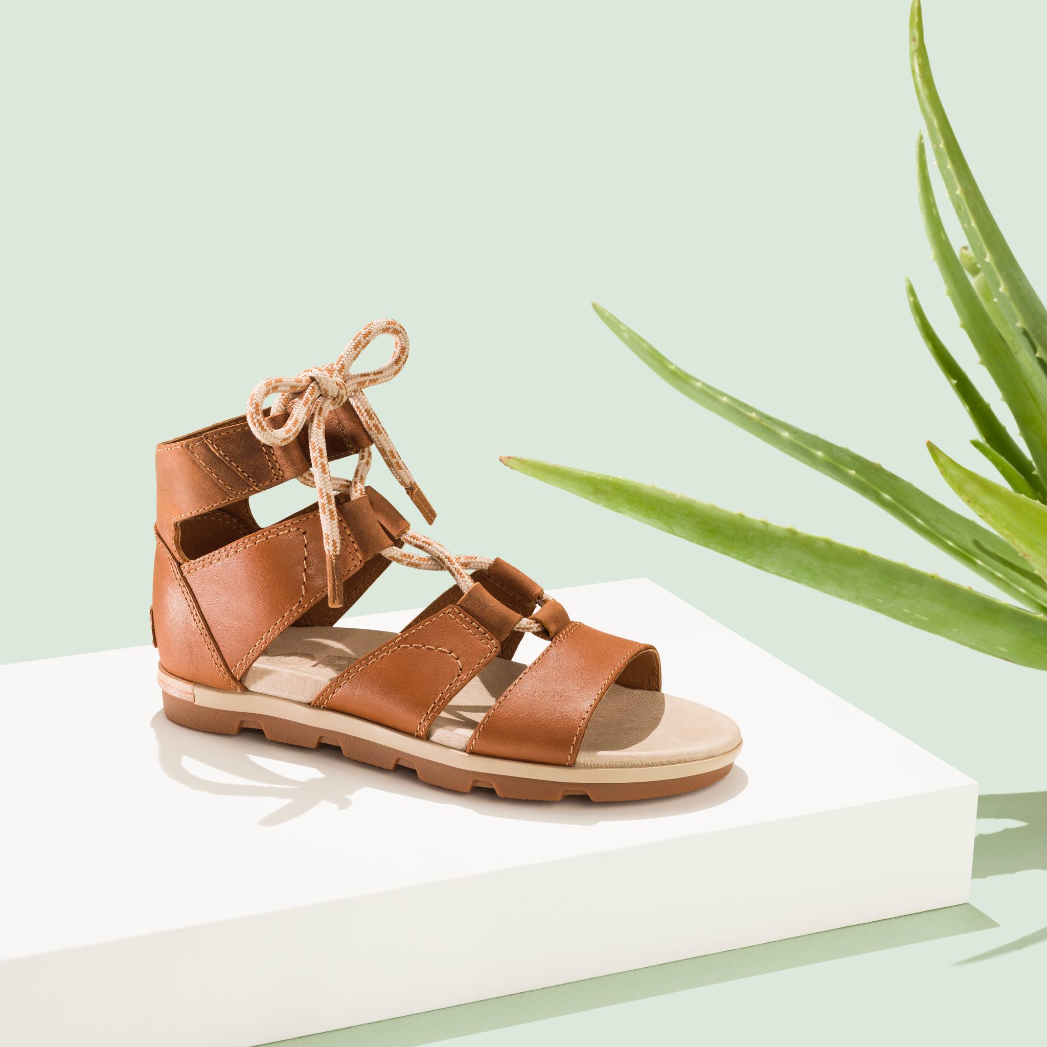 Sorel 19: Backdrops