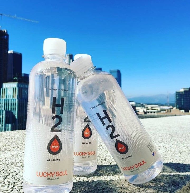 Soultox 8: Lifestyle Secondary Images