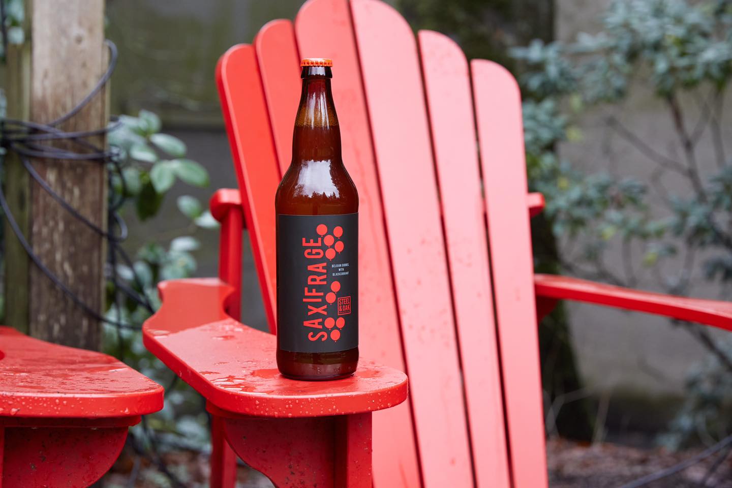 Steel &amp; Oak Brewing Co. 24: Lifestyle Secondary Images