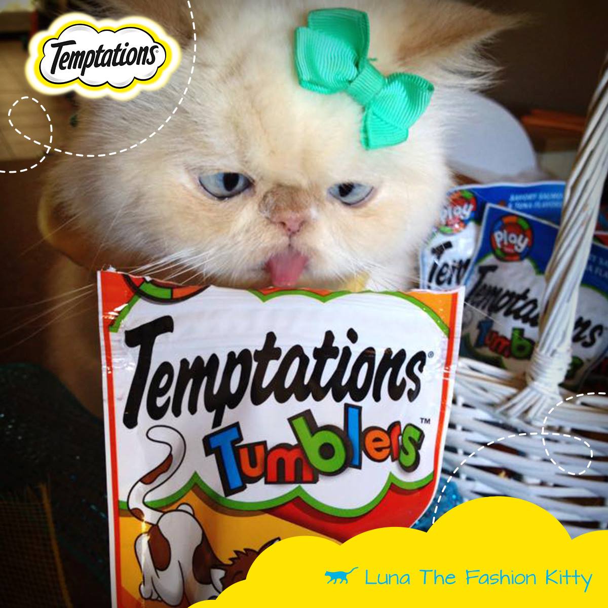 Temptations Cat Treats 10: Lifestyle Secondary Images