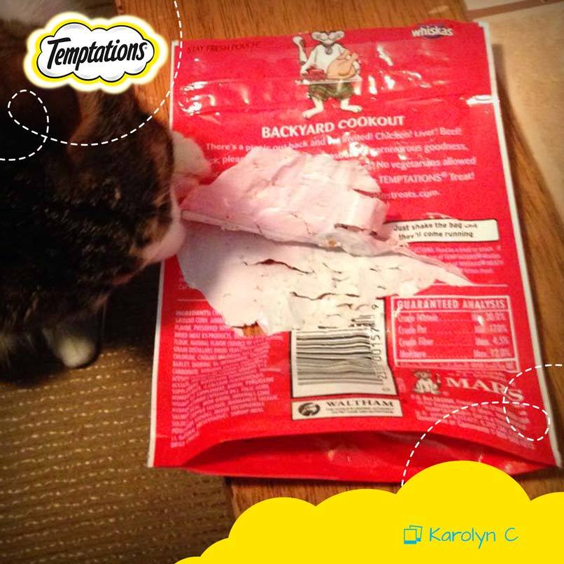 Temptations Cat Treats 11: Lifestyle Secondary Images