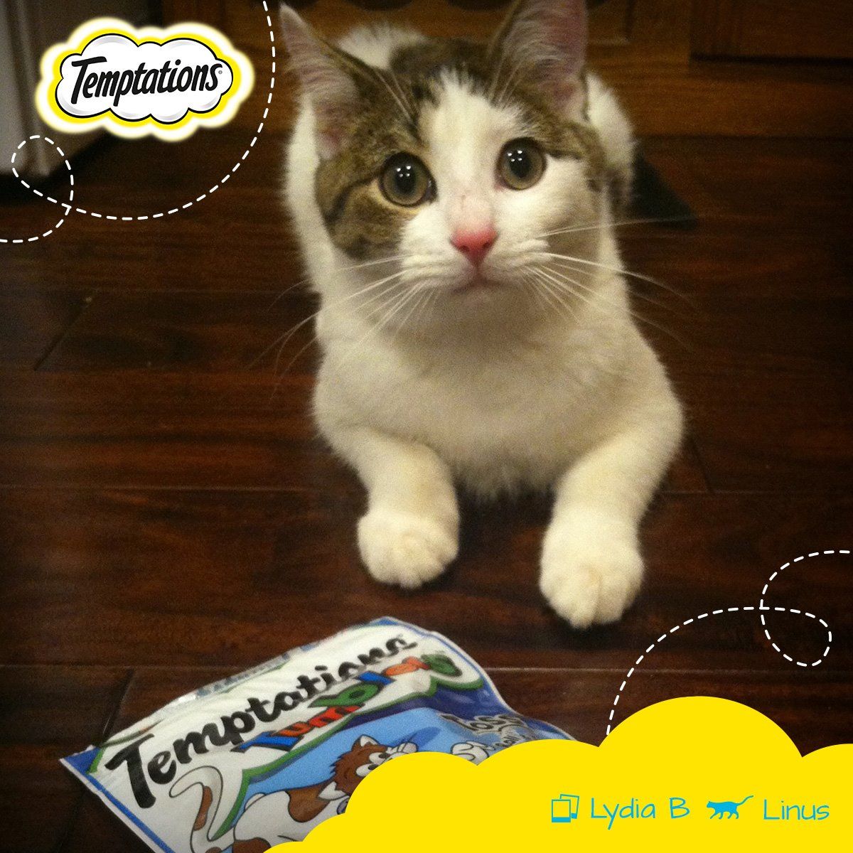 Temptations Cat Treats 12: Lifestyle Secondary Images