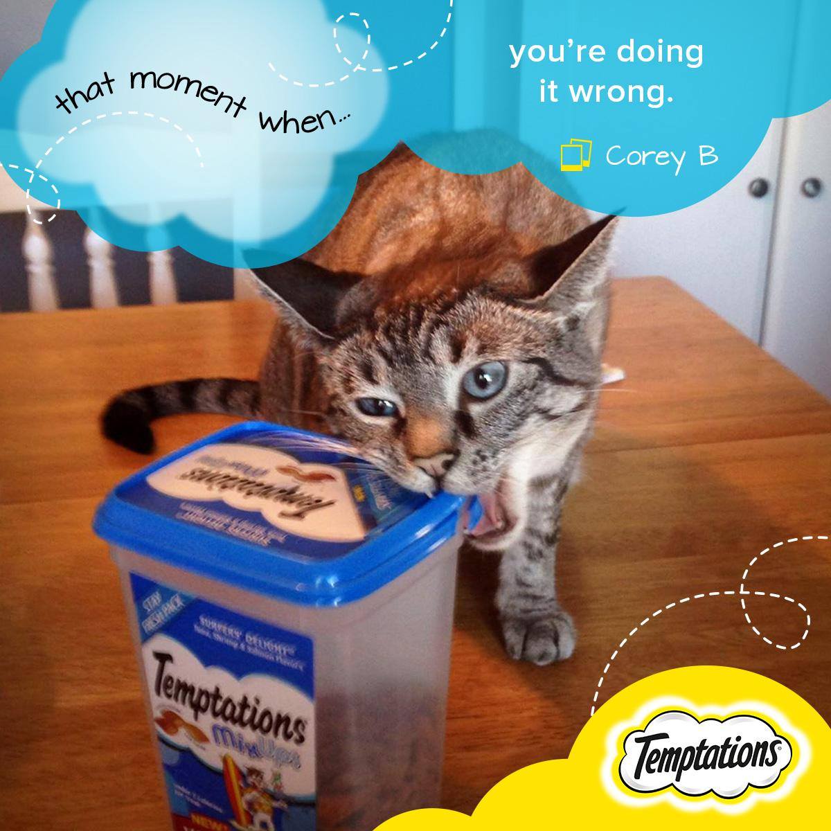 Temptations Cat Treats 13: Infographics