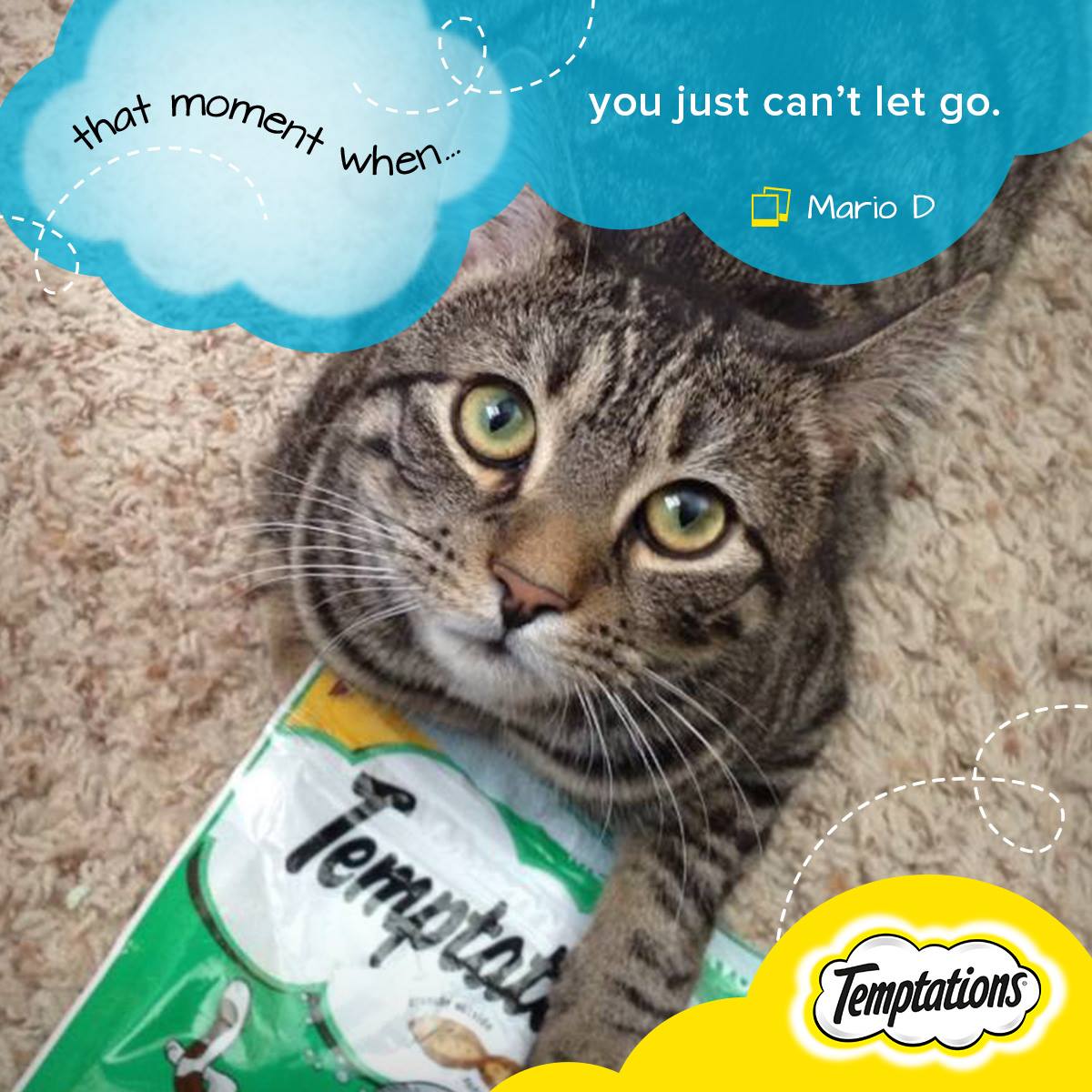 Temptations Cat Treats 15: Infographics