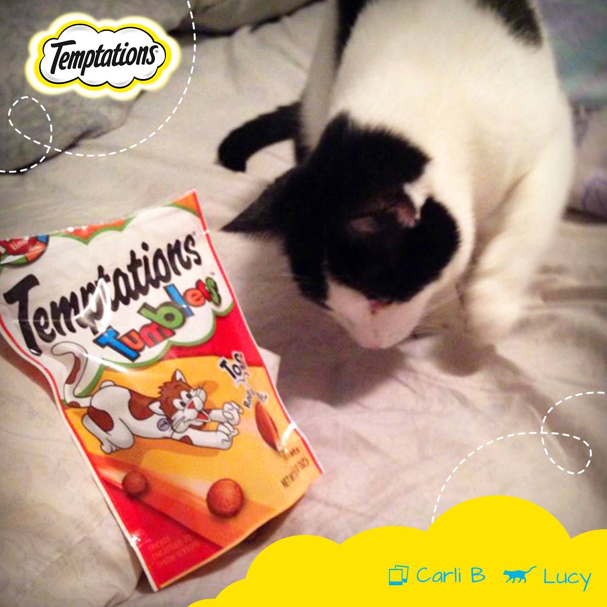Temptations Cat Treats 16: Lifestyle Secondary Images