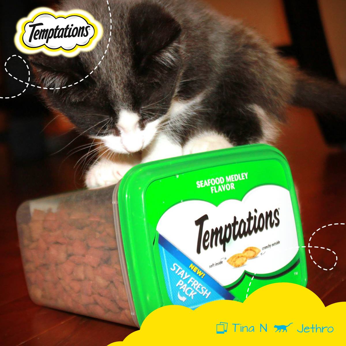 Temptations Cat Treats 17: Lifestyle Secondary Images