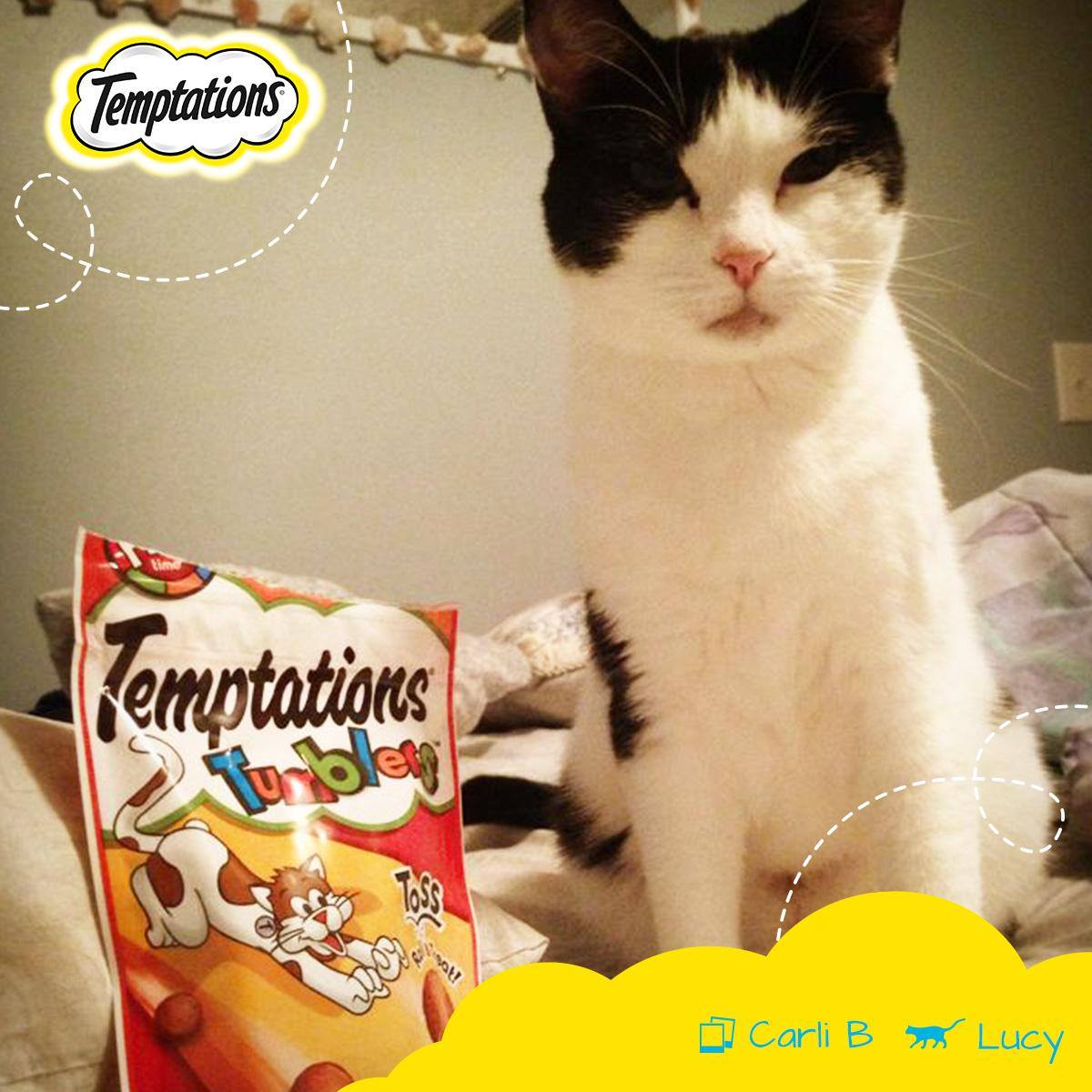 Temptations Cat Treats 7: Lifestyle Secondary Images