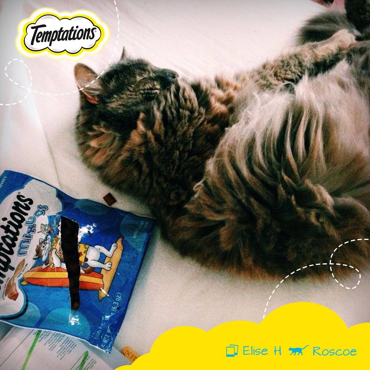 Temptations Cat Treats 8: Lifestyle Secondary Images