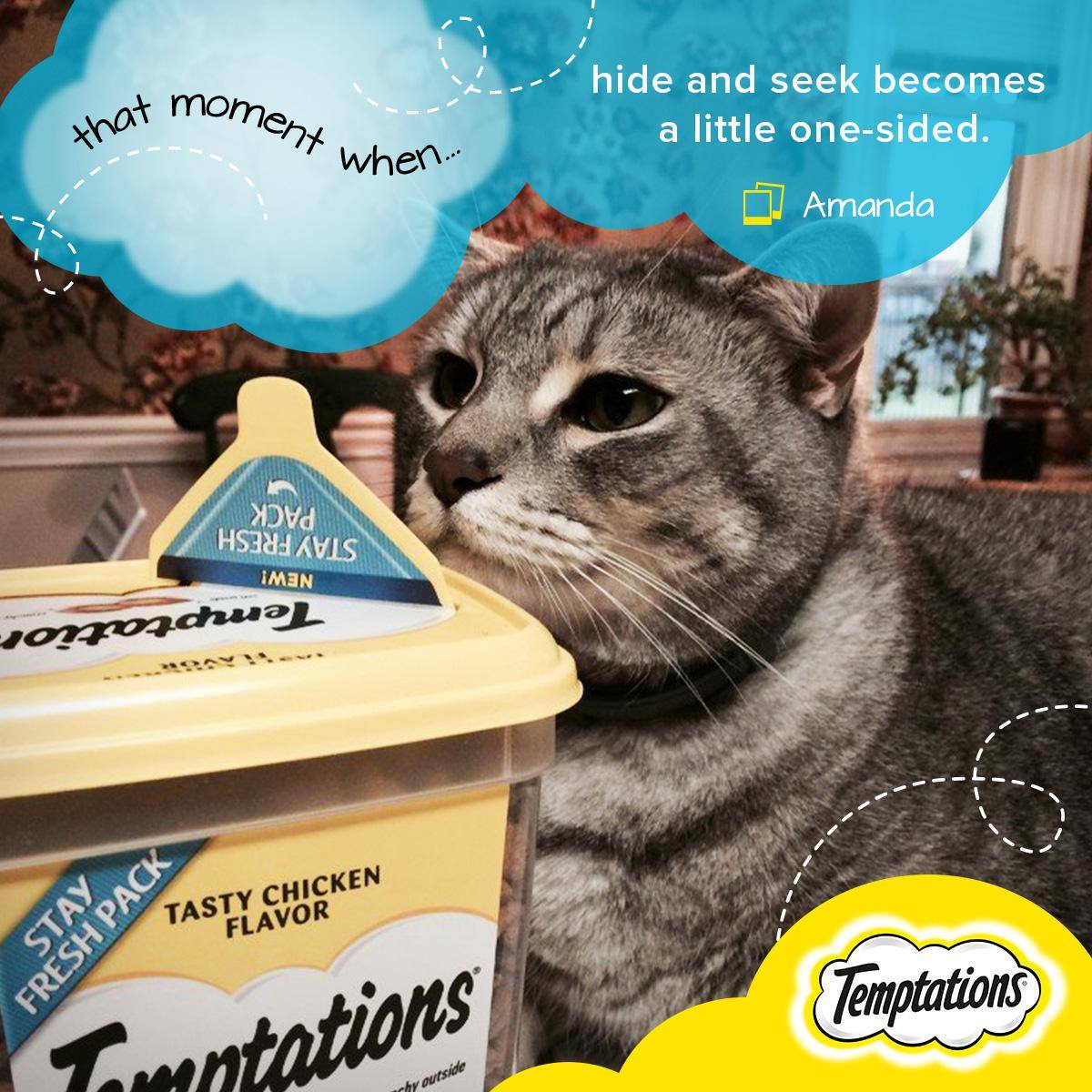 Temptations Cat Treats 9: Infographics