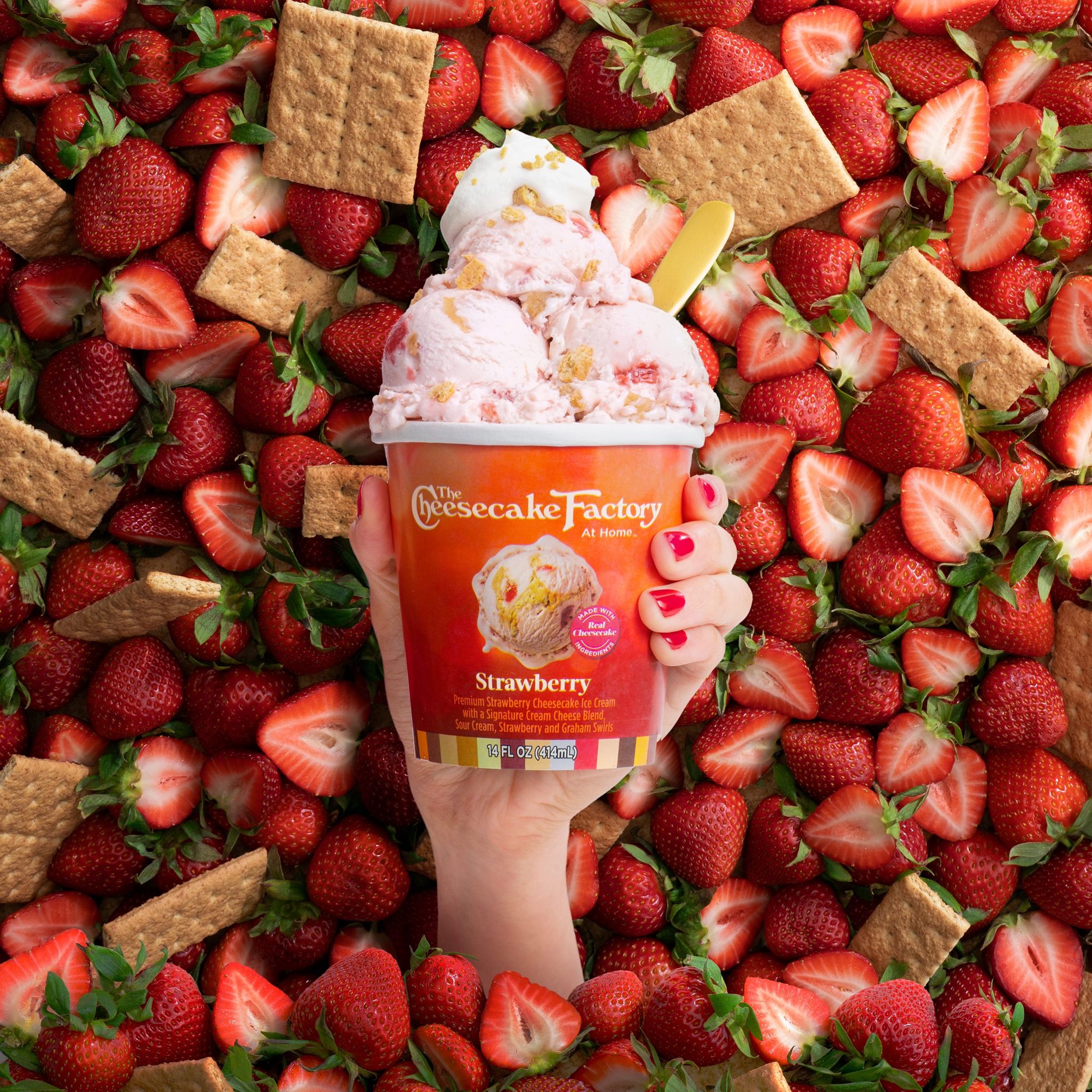 Backdrops for The Cheesecake Factory 7