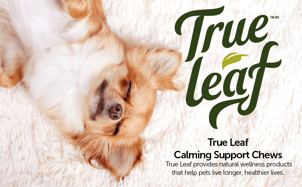 True Leaf PET INF PET 3: Infographics
