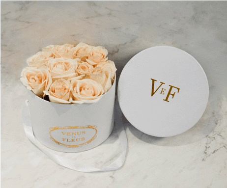 VENUS ET FLEUR 01: Lifestyle Secondary Images