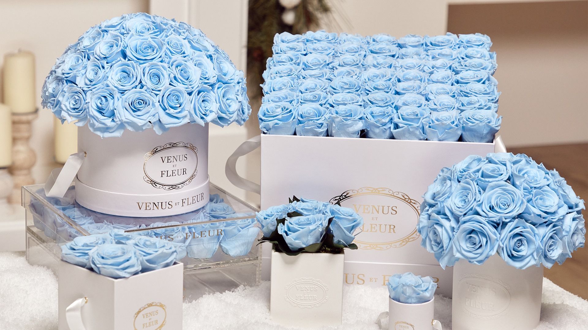 VENUS ET FLEUR 04: Amazon listing image