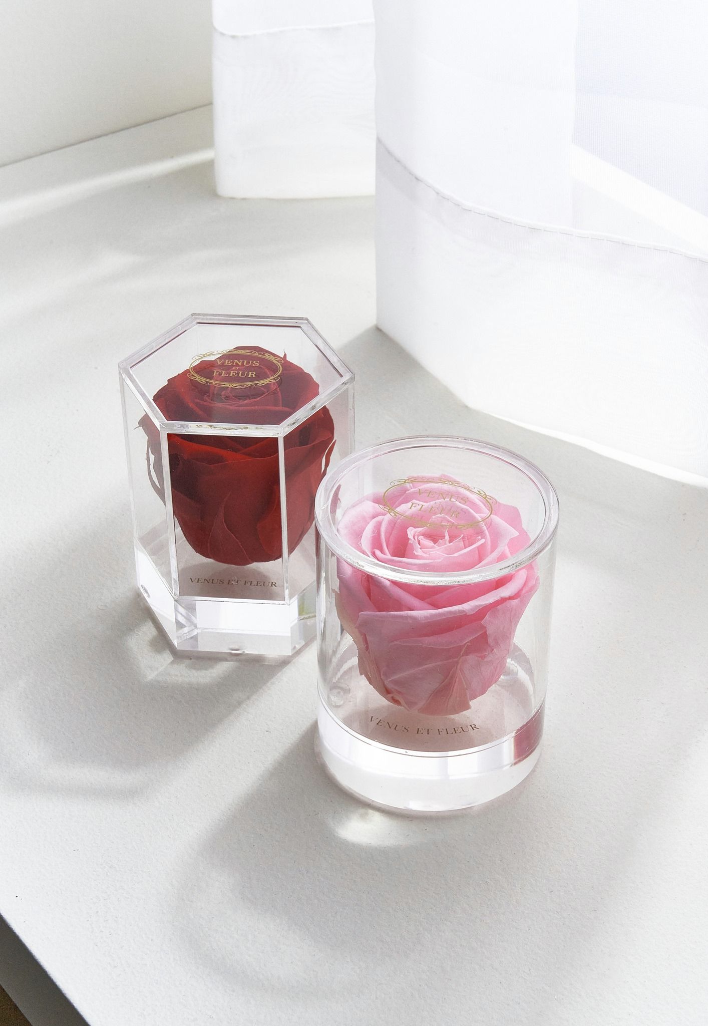 VENUS ET FLEUR 05: Lifestyle Secondary Images