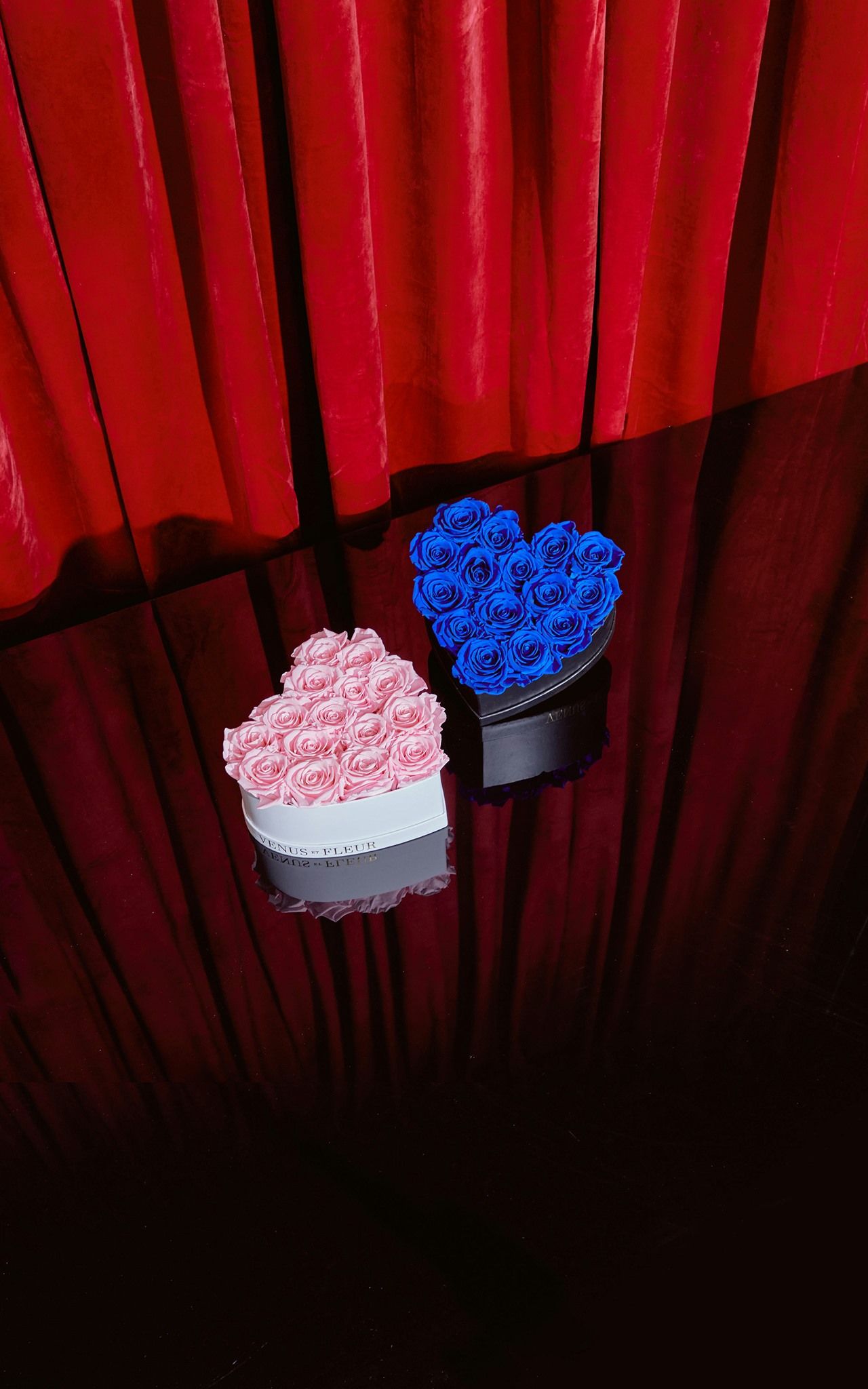 VENUS ET FLEUR 06: Backdrops