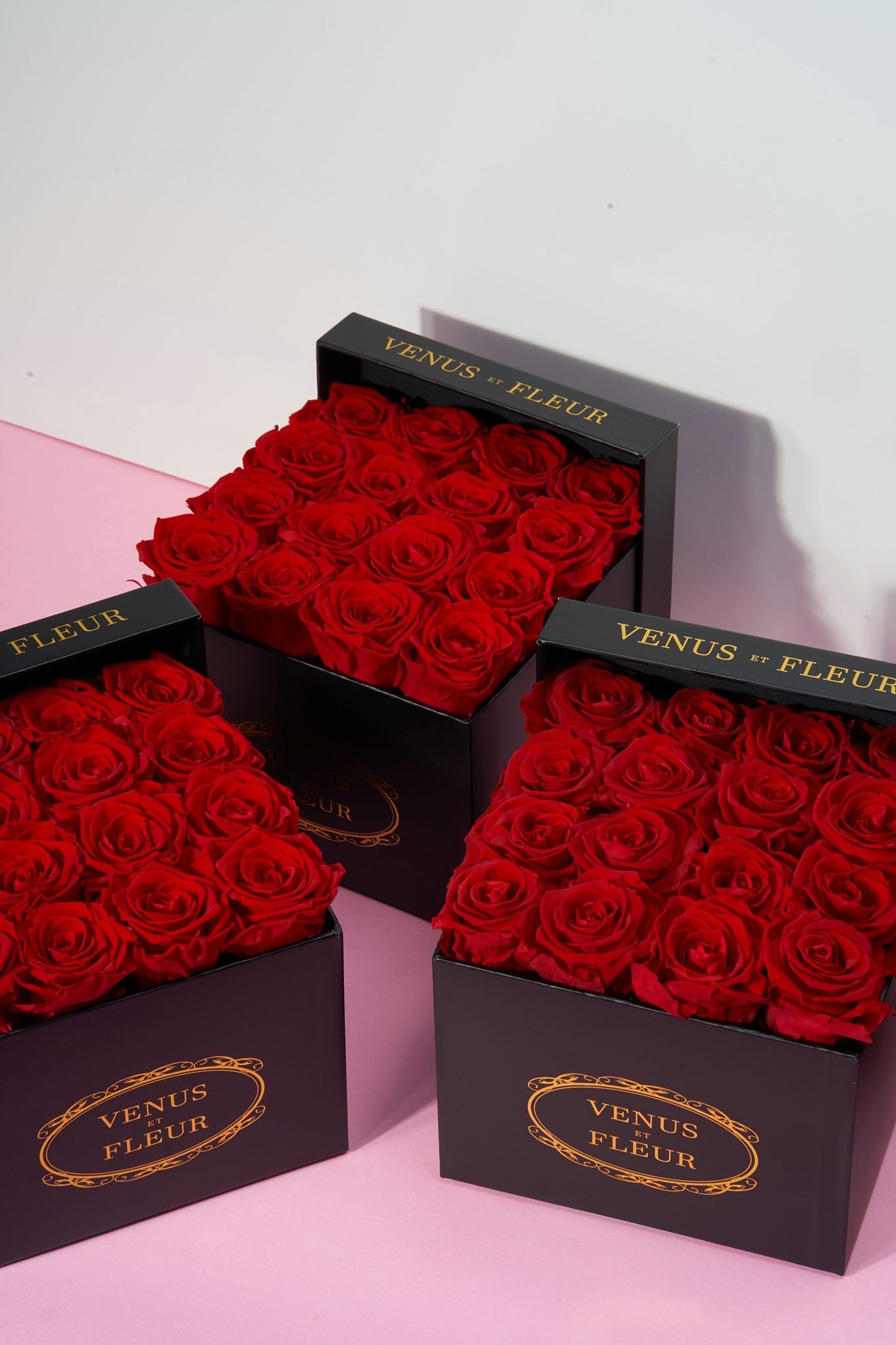 VENUS ET FLEUR 12: Packaging