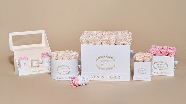 VENUS ET FLEUR 14: Amazon listing image