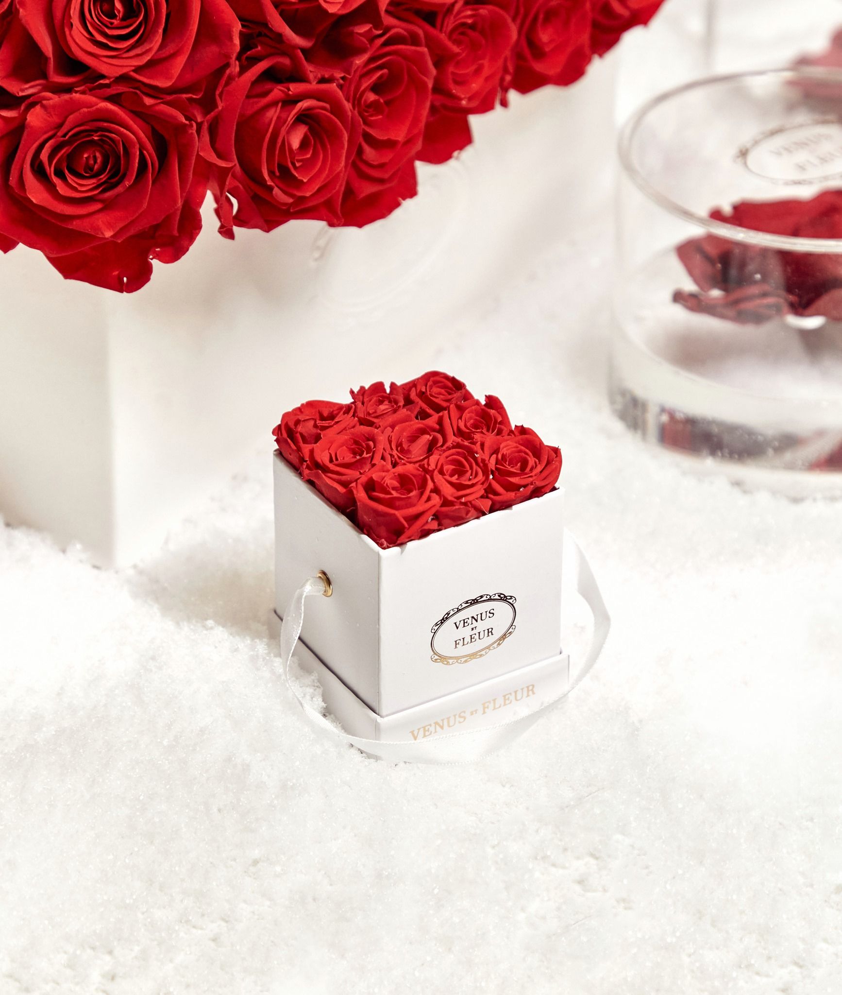 VENUS ET FLEUR 22: Lifestyle Secondary Images