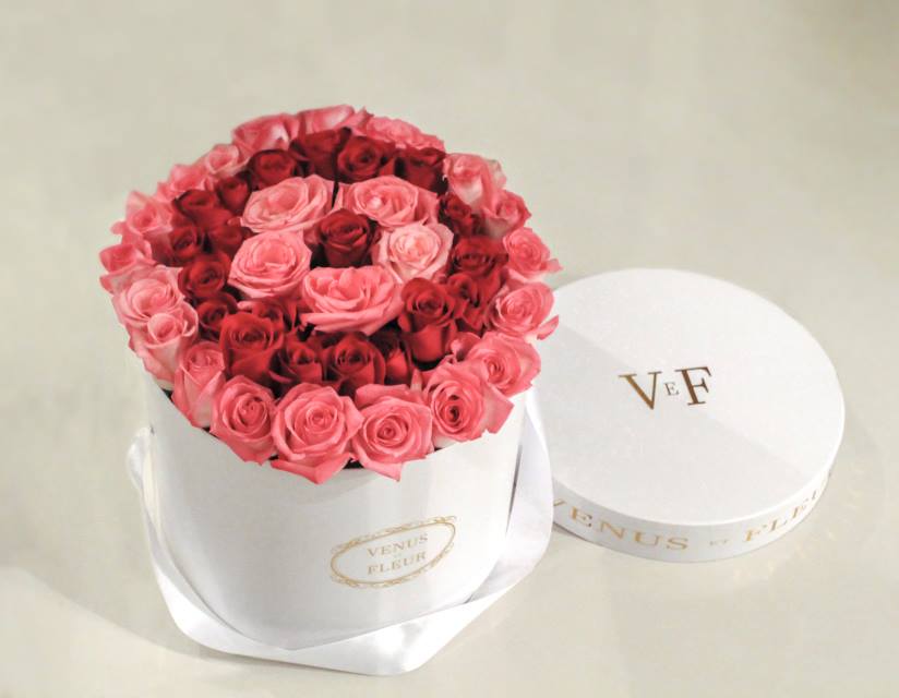 VENUS ET FLEUR 23: Lifestyle Secondary Images