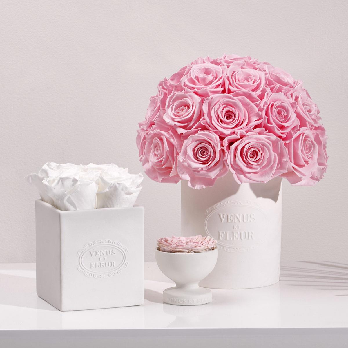 VENUS ET FLEUR 25: Packaging