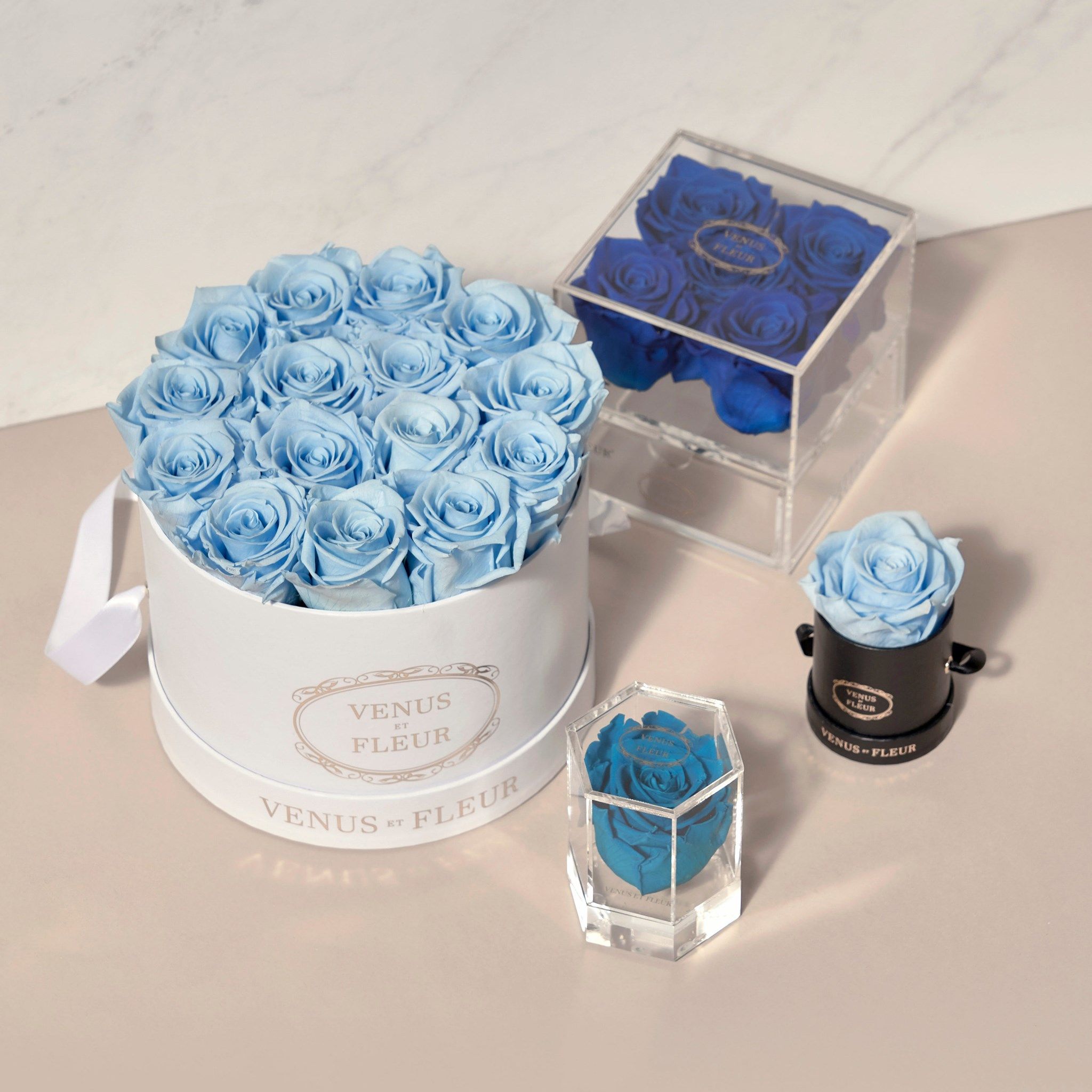 VENUS ET FLEUR 27: Lifestyle Secondary Images