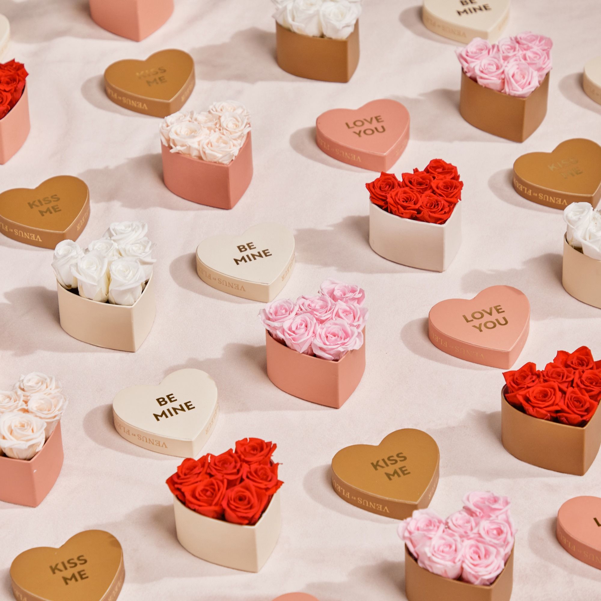 VENUS ET FLEUR 29: Lifestyle Secondary Images