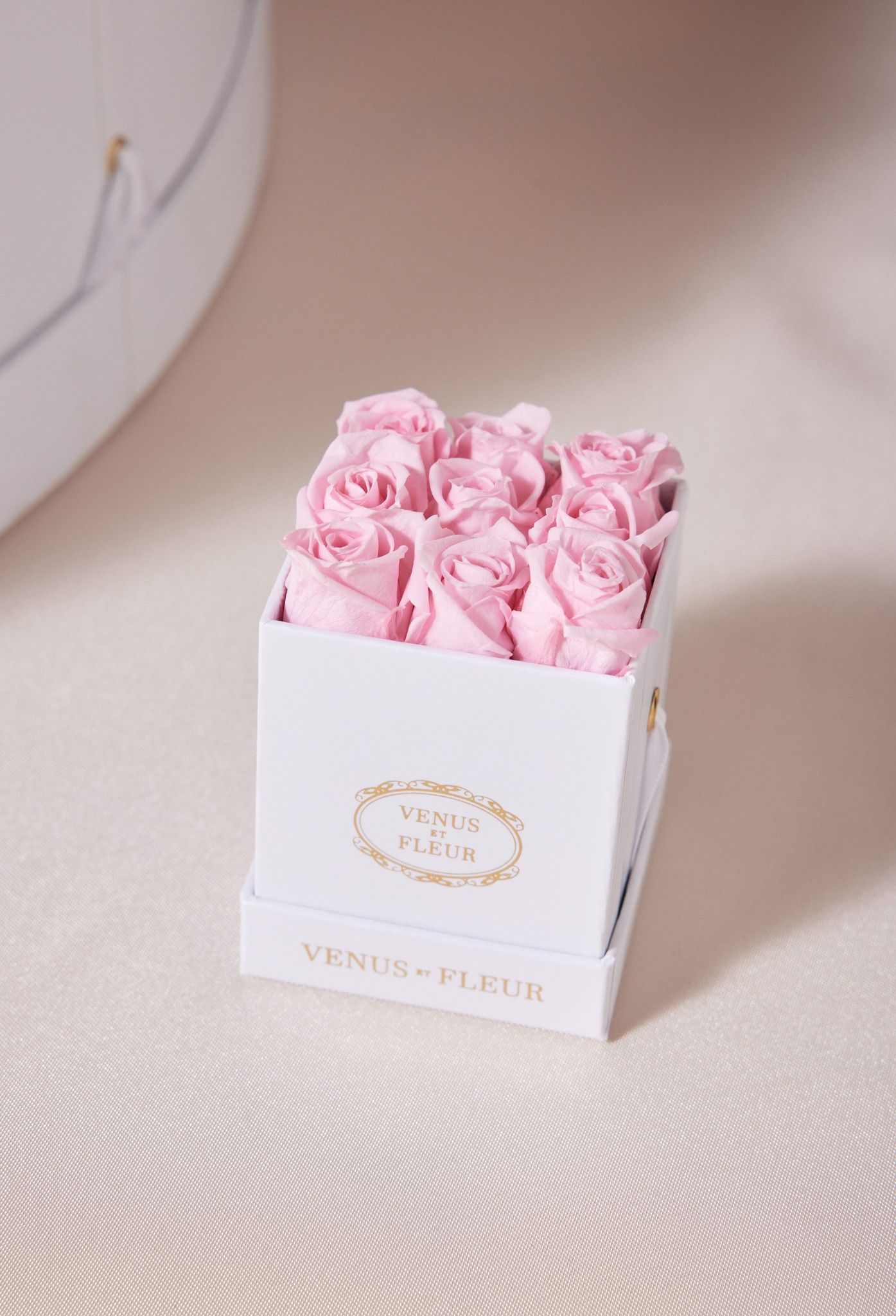 VENUS ET FLEUR 32: Packaging