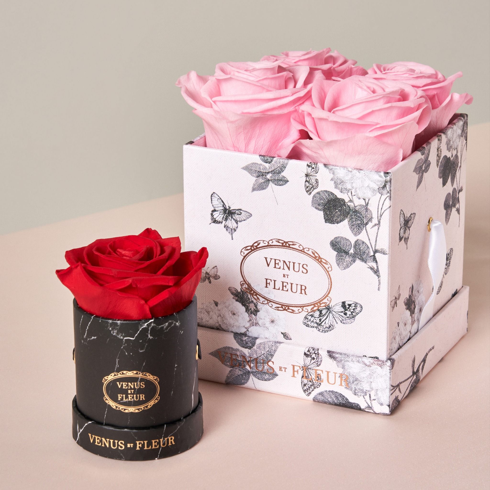 VENUS ET FLEUR 36: Packaging