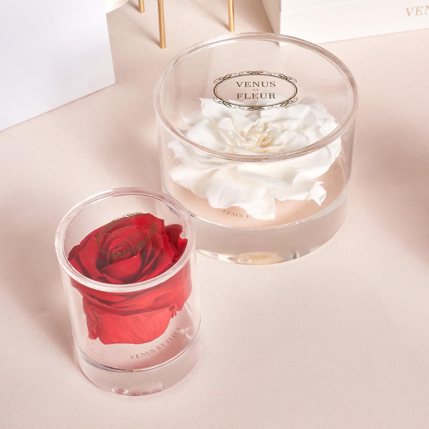 VENUS ET FLEUR 38: Packaging