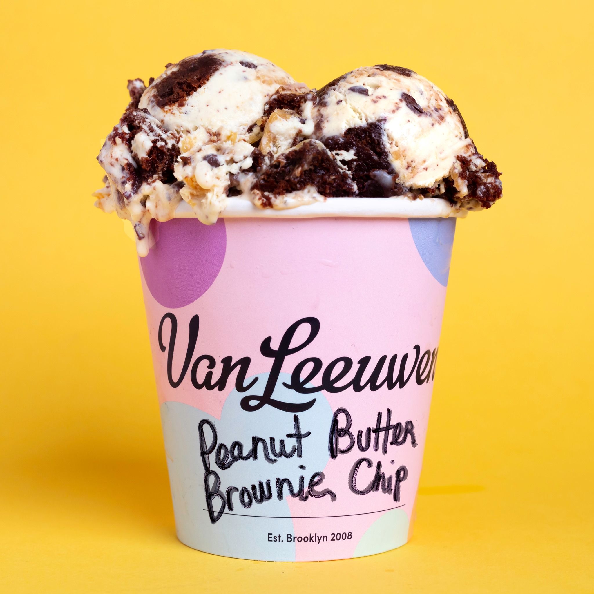 Van Leeuwen Ice Cream 18: Backdrops