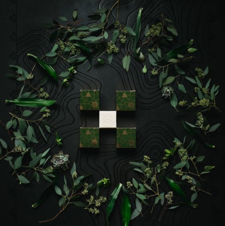 Viori Beauty 14: Backdrops