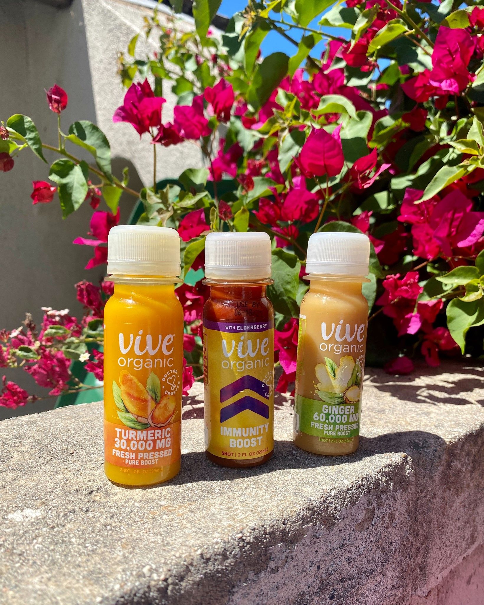 Vive Organic 12: Lifestyle Secondary Images