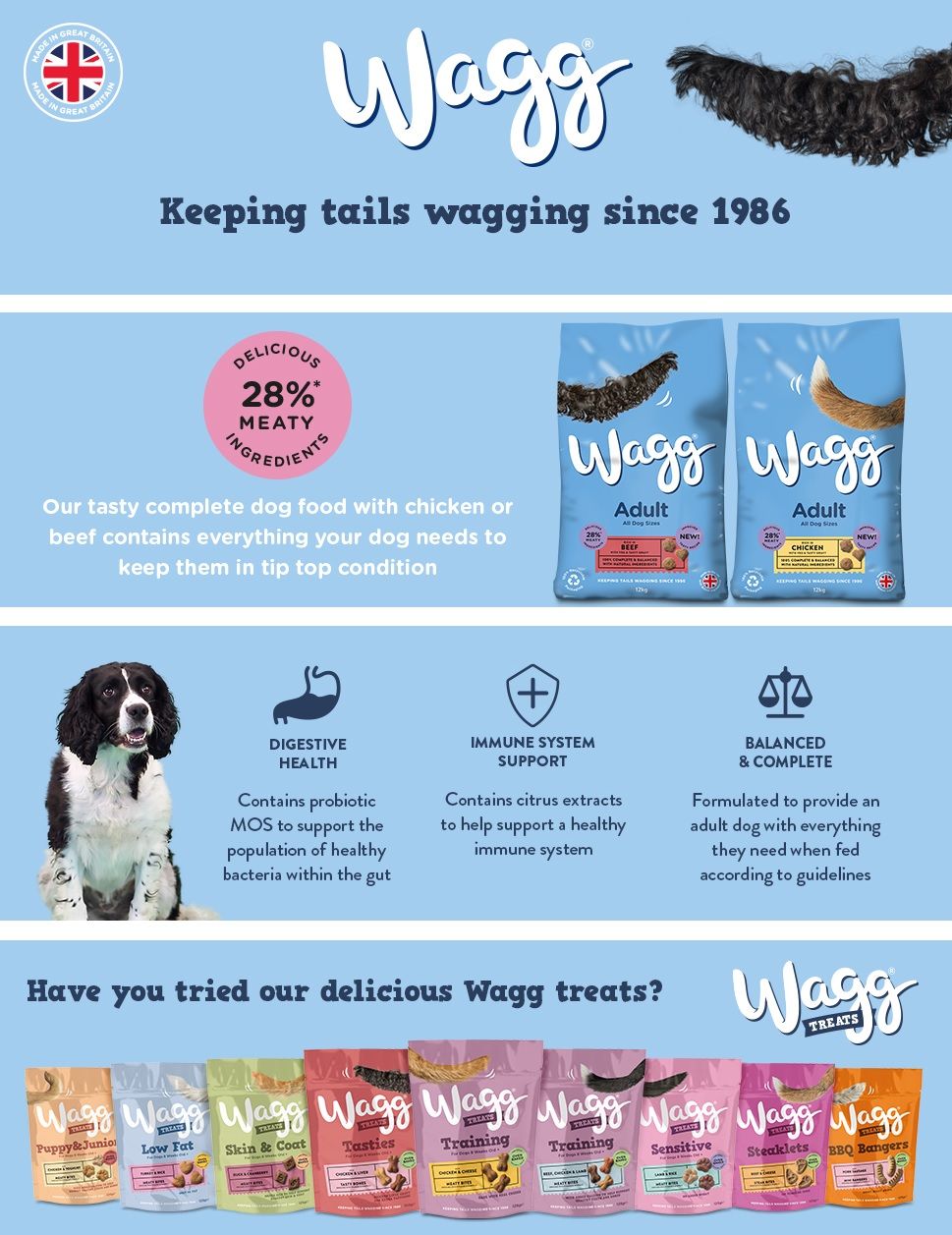 Wagg 1: A+