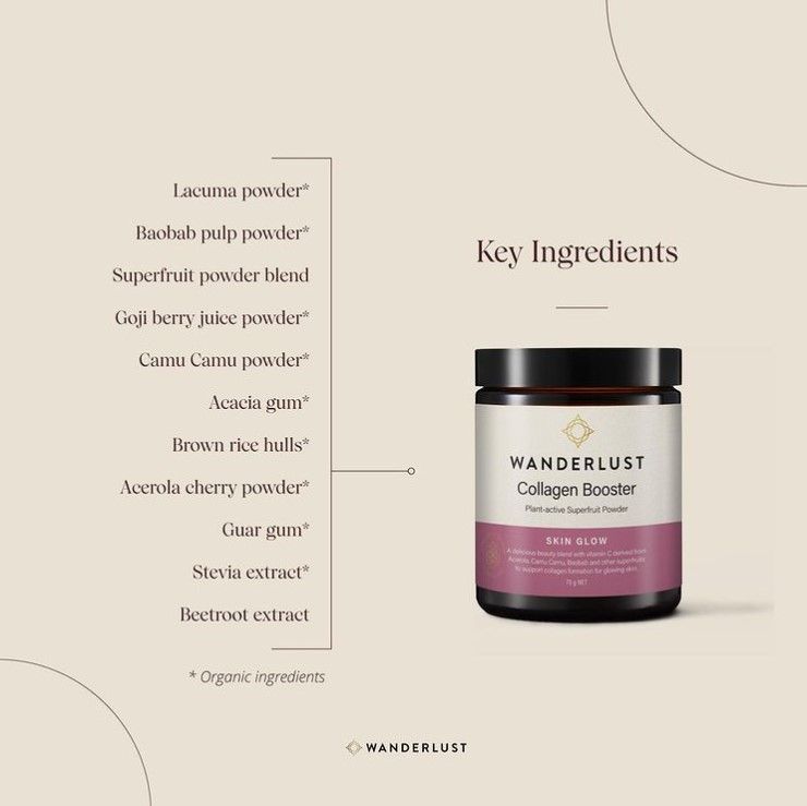 Wanderlust 17: Infographics