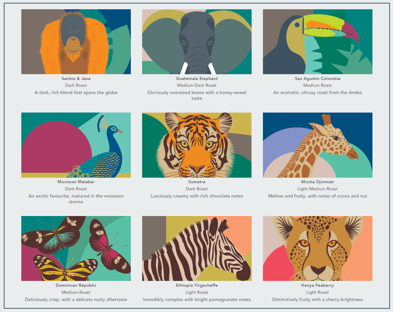 Whittard of Chelsea 1: Infographics