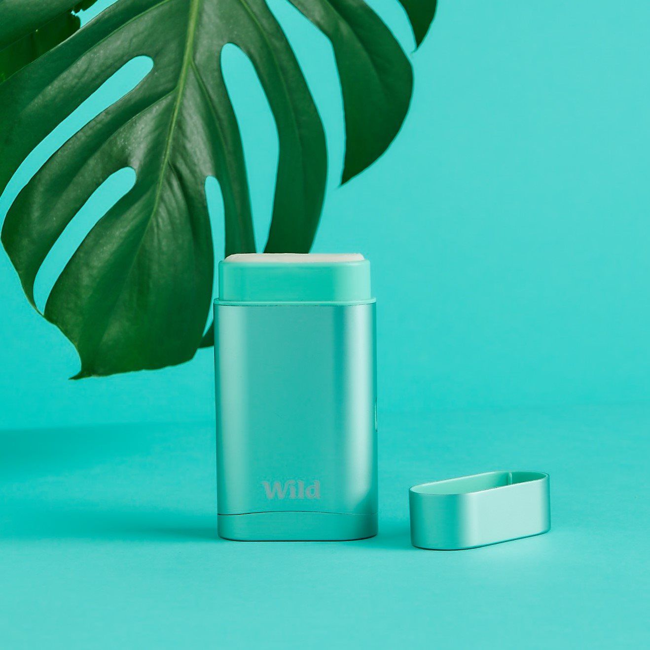 Wild Deodorant 25: Backdrops